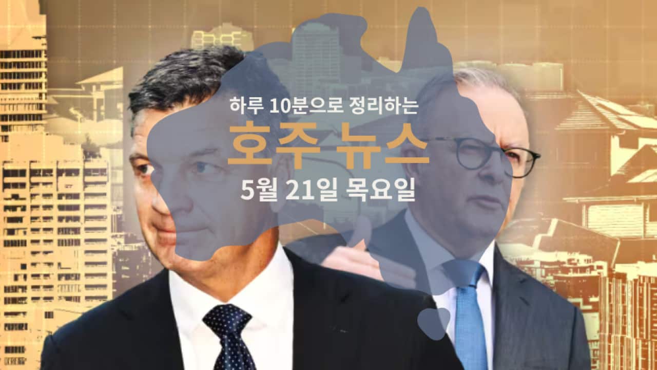 Daily News (1).png