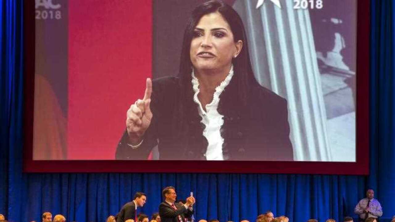 National Rifle Association (NRA) spokesperson Dana Loesch