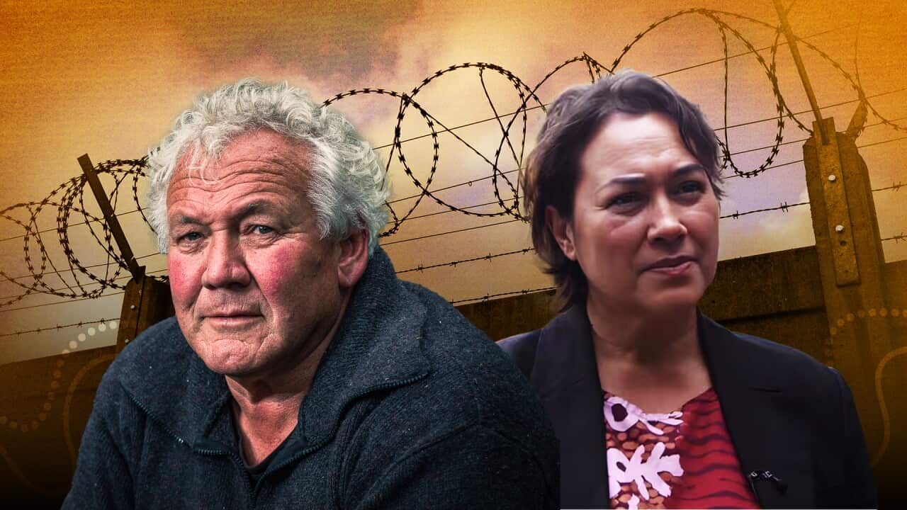 YOUTH CRIME WEB HERO.jpg