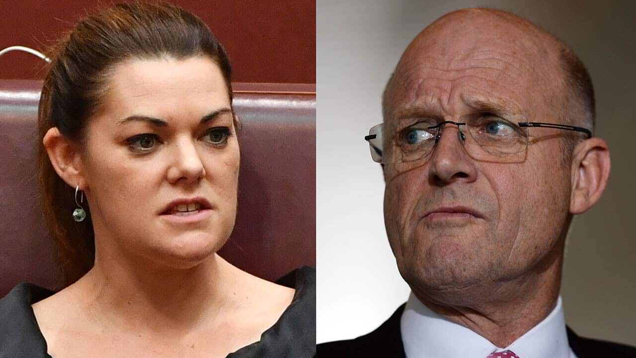 Sarah Hanson-Young says she's suing David Leyonhjelm on behalf of all women who have "had enough".
