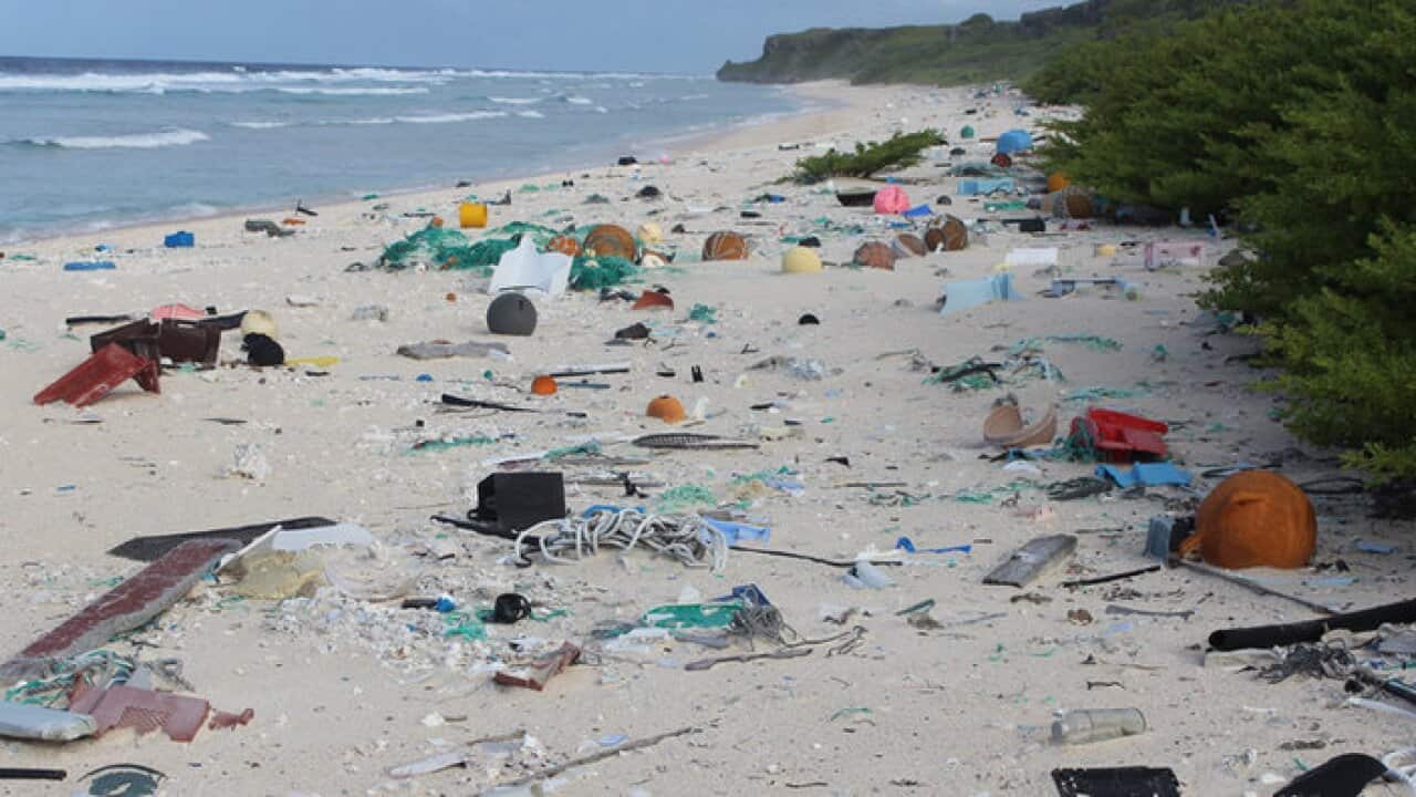 Henderson Island in the south Pacific Ocean - 8 Feb 2018.