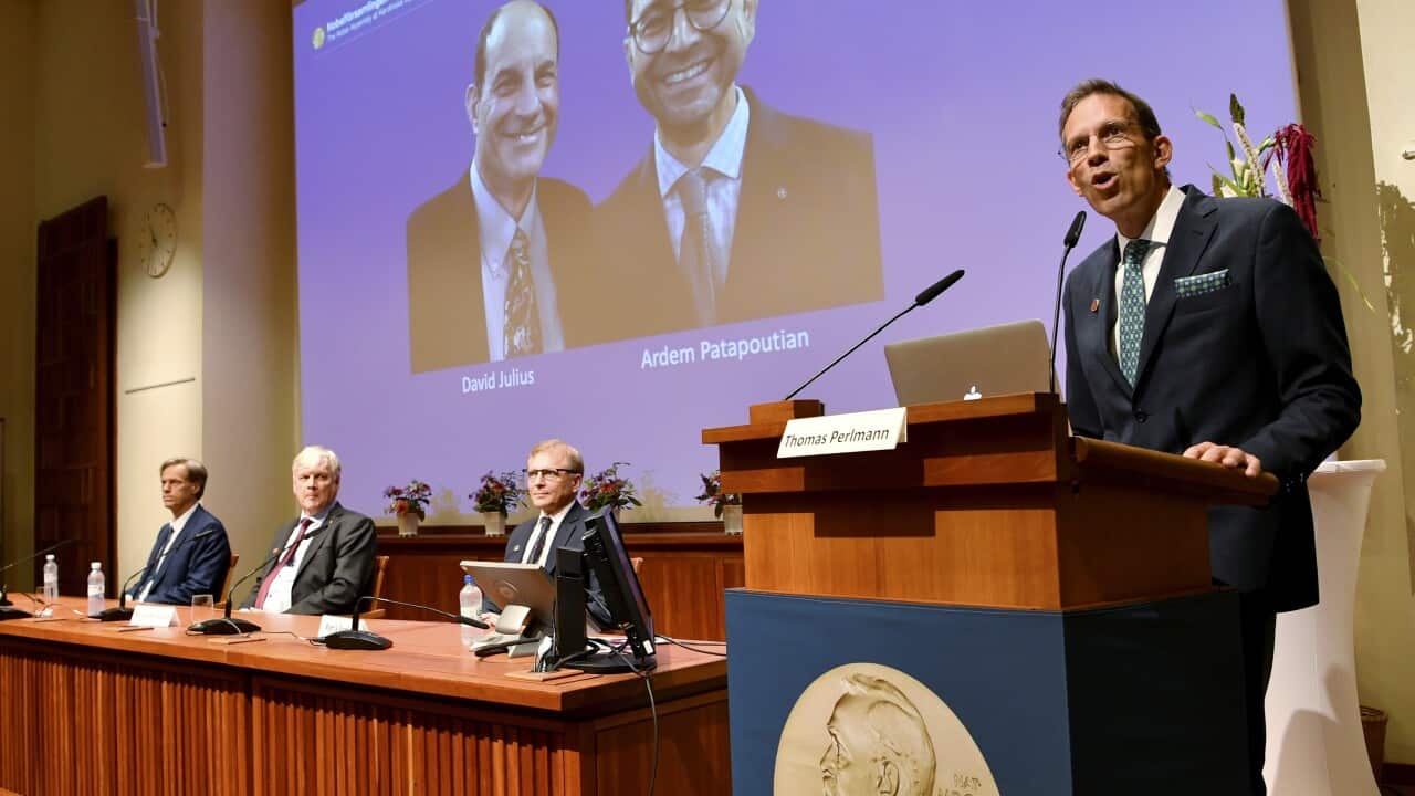 Thomas Perlmann, Secretary of the Nobel Assembly and the Nobel Committee announces the winners of the 2021 Nobel Prize in Physiology or Medicine.