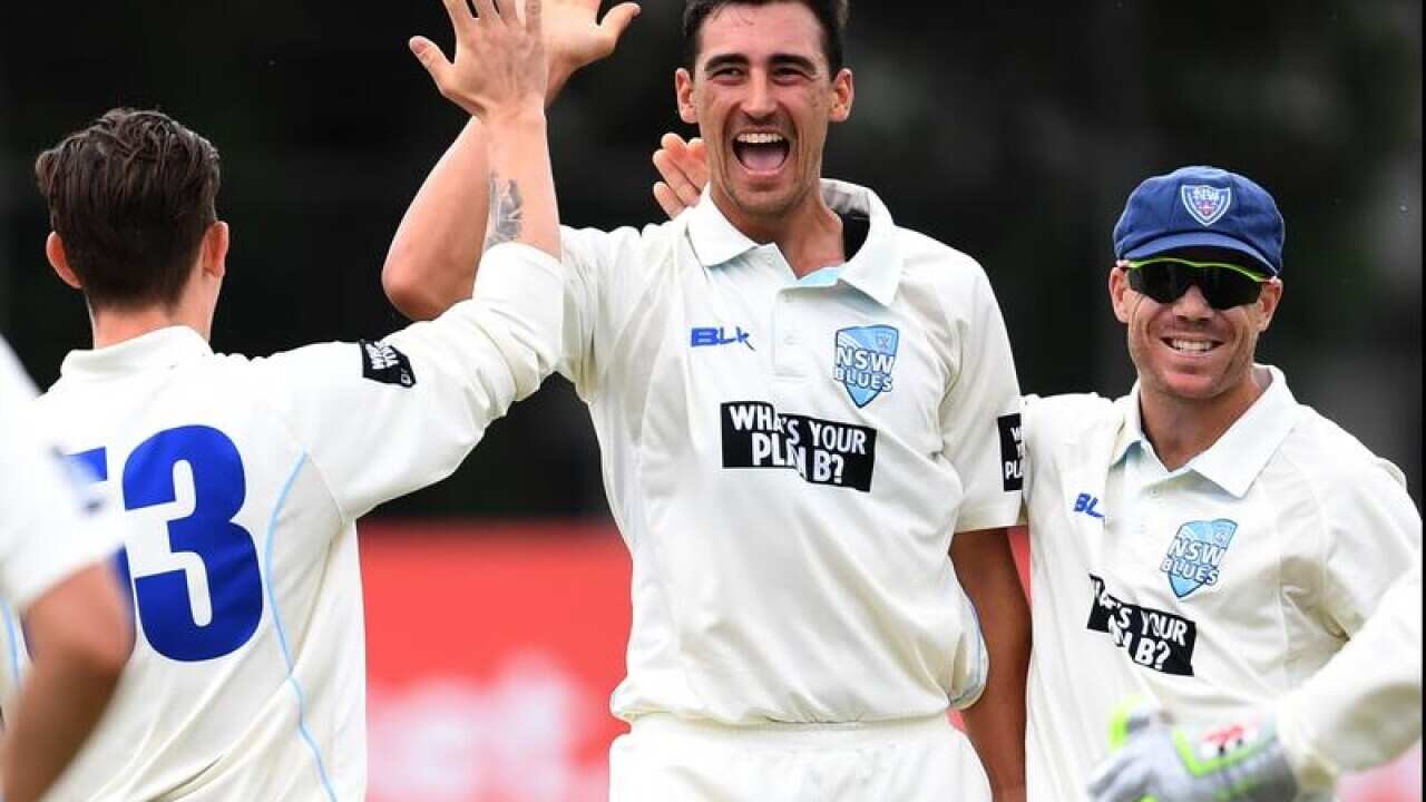 Mitchell Starc of the Blues (C) celebrates with his teammates.