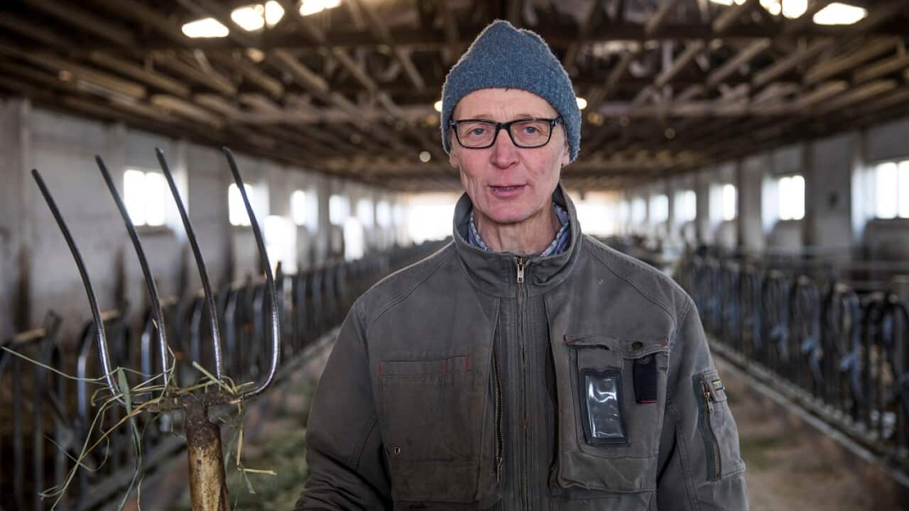 Dairy farmer Heiner Luetke Schwienhorst is among three farmers joining Greenpeace in a court battle over his country's climate change targets.