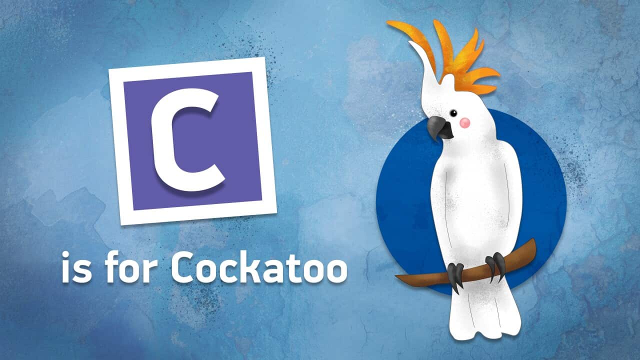 Words you thought were Indigenous that actually aren't