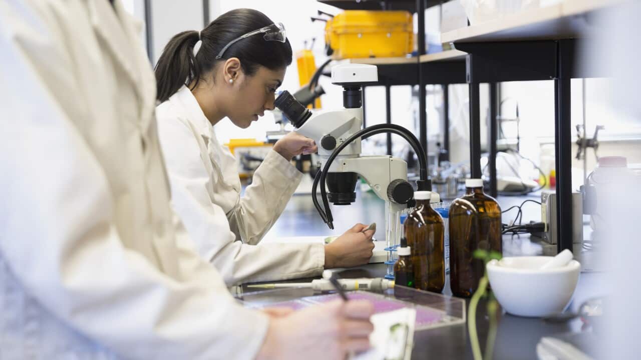 Image for read more article 'Información relacionada'