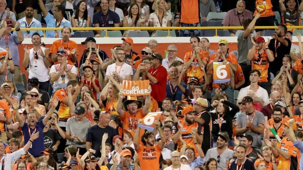 Perth Scorchers crowd