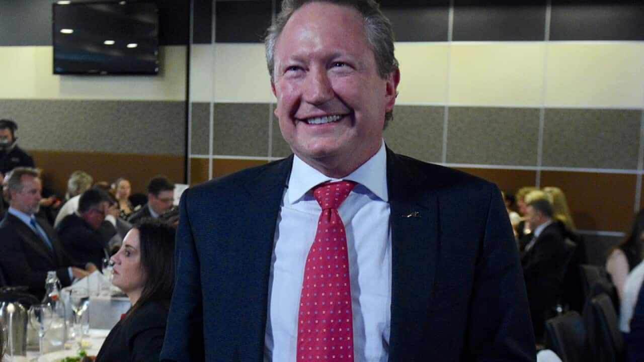 Fortescue Metals Group CEO Andrew 'Twiggy' Forrest