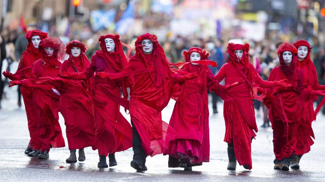 Editorial collection ahead of UN Climate Change Conference COP30