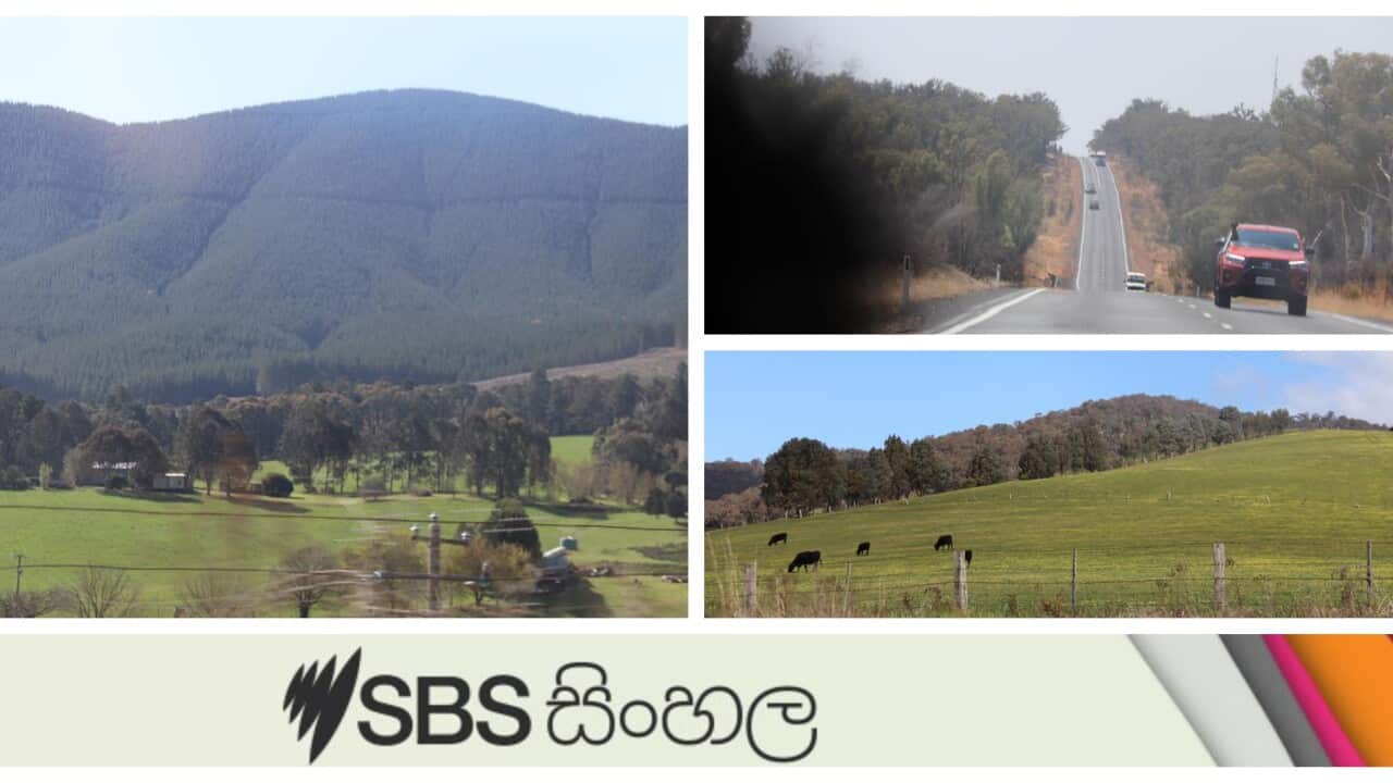A scenic trip to the snow-capped Mount Buffalo range during the Winter in Victoria