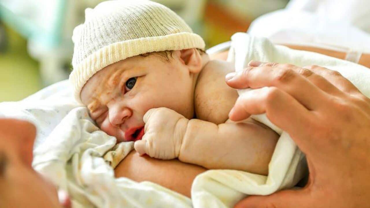 Newborn baby