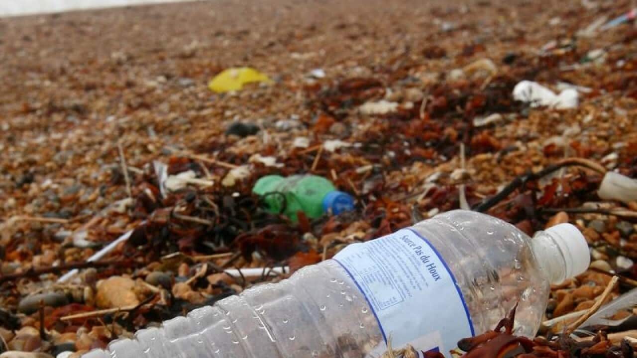 A file image off a plastic bottle on a beach