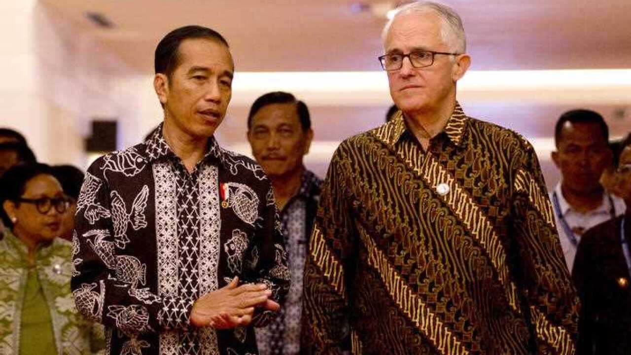 Indonesia President Joko "Jokowi" Widodo walks with former Prime Minister Malcolm Turnbull.