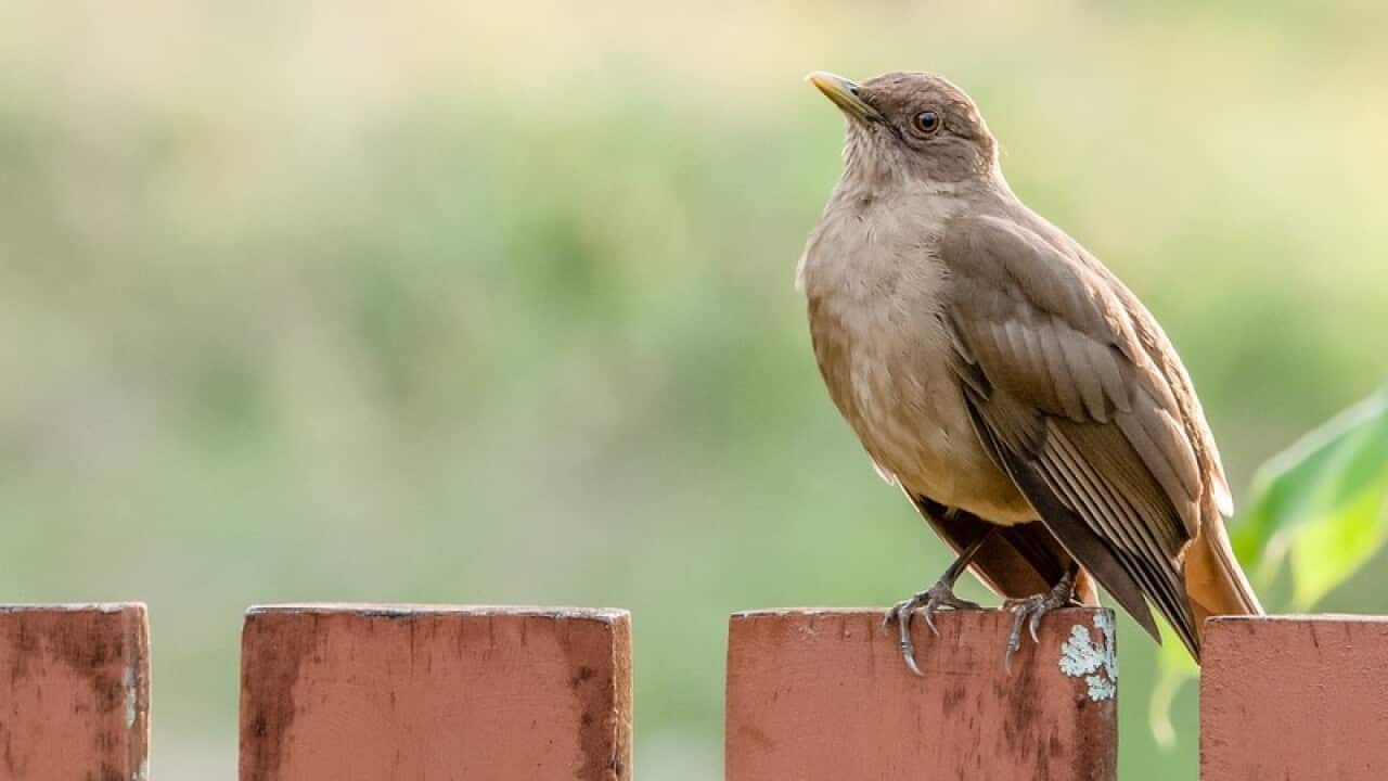 Image for read more article 'READ MORE'