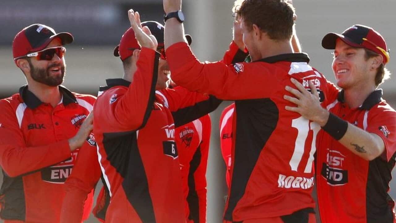 SA Redbacks