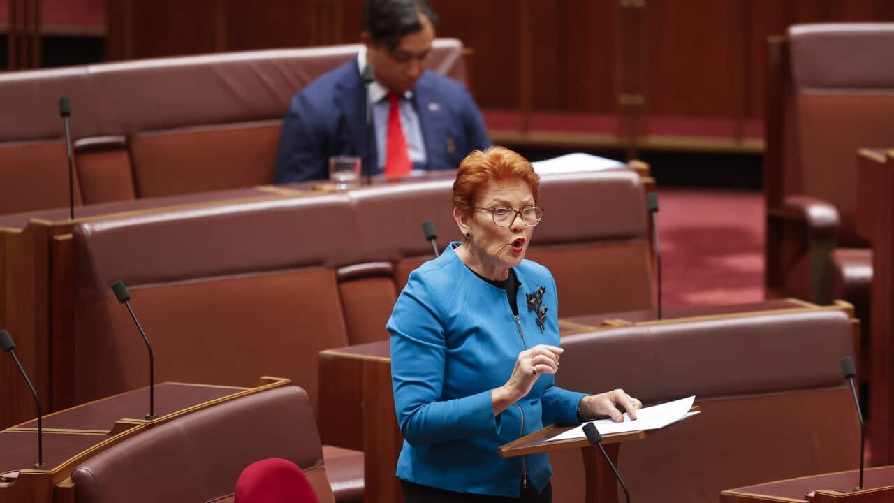 One Nation's Pauline Hanson Makes Budget Reply In Senate