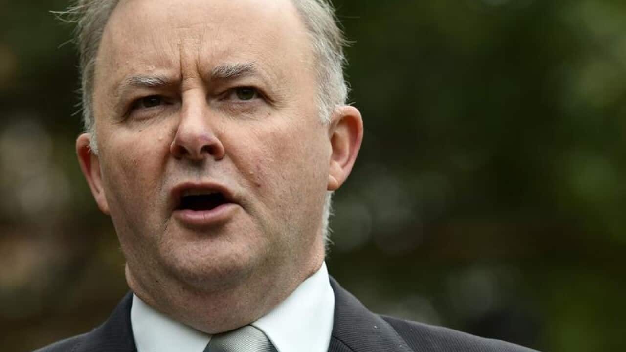 Federal Opposition Leader Anthony Albanese