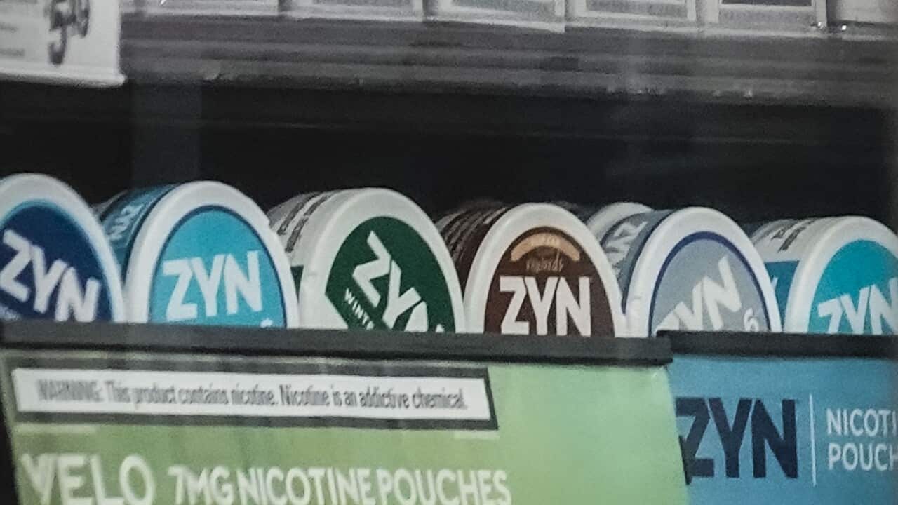FDA-Zyn Pouches