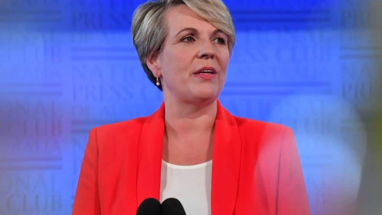 Deputy Leader of the Opposition Tanya Plibersek