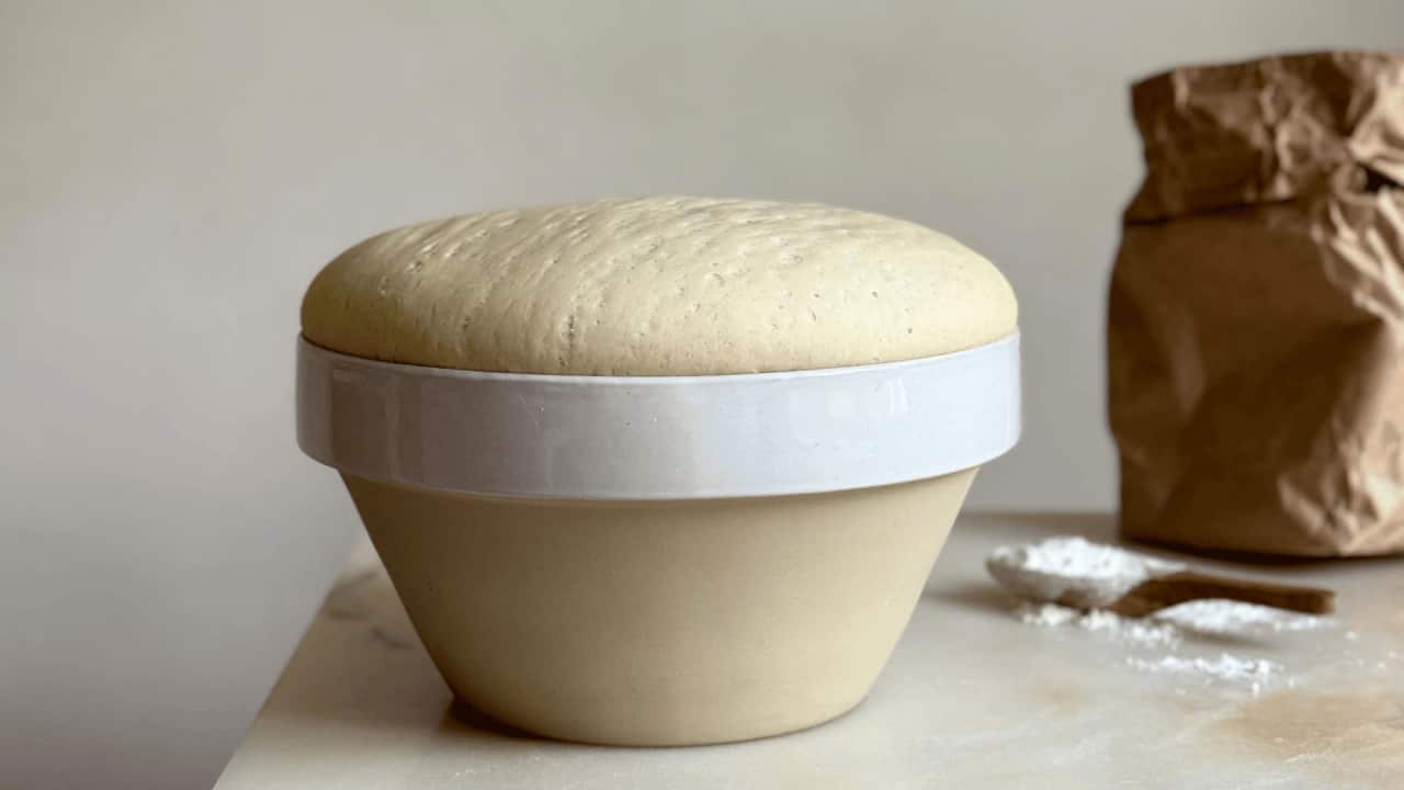 Classic yeast dough risen in a bowl.
