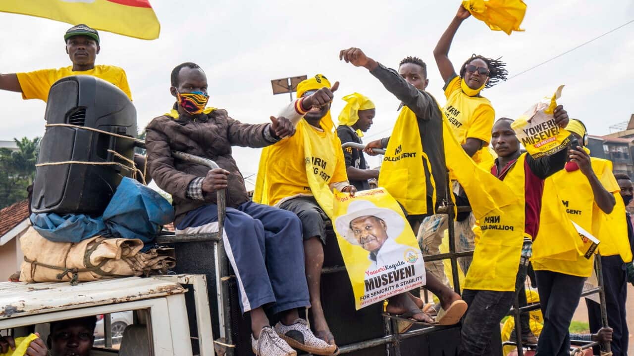 Supporters of Ugandan President Yoweri Kaguta Museveni celebrate in Kampala, Uganda