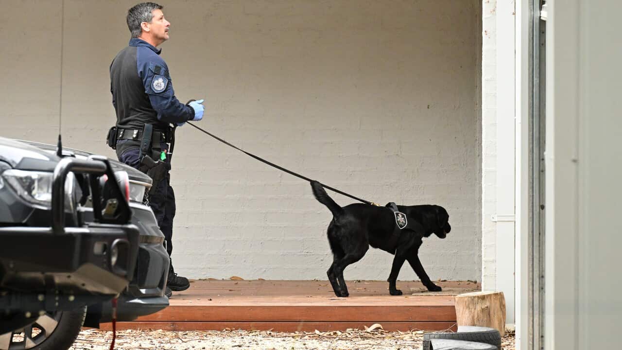 MUSHROOM DEATHS ERIN PATTERSON ARREST