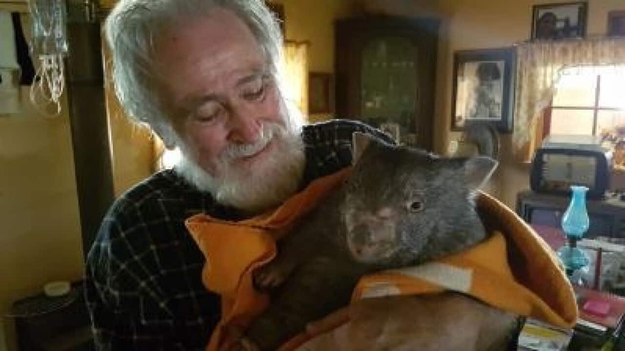 Manfred Heide Wombat Hill SA Caversham Wildlife Park WA