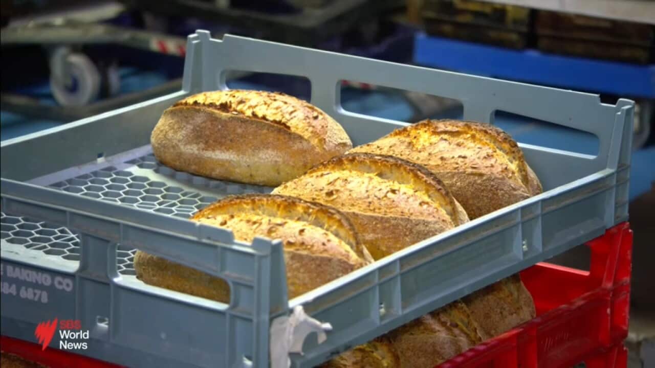 BREAD.jpg