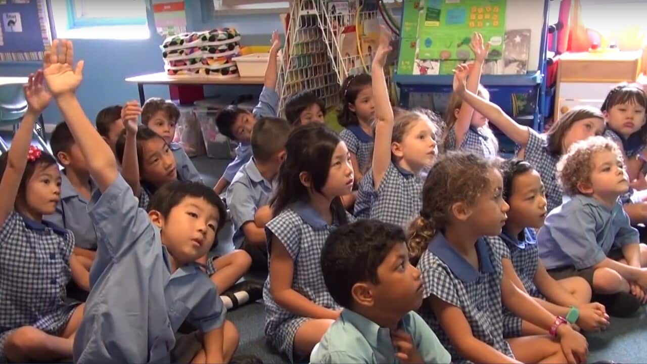 Chatswood Public School