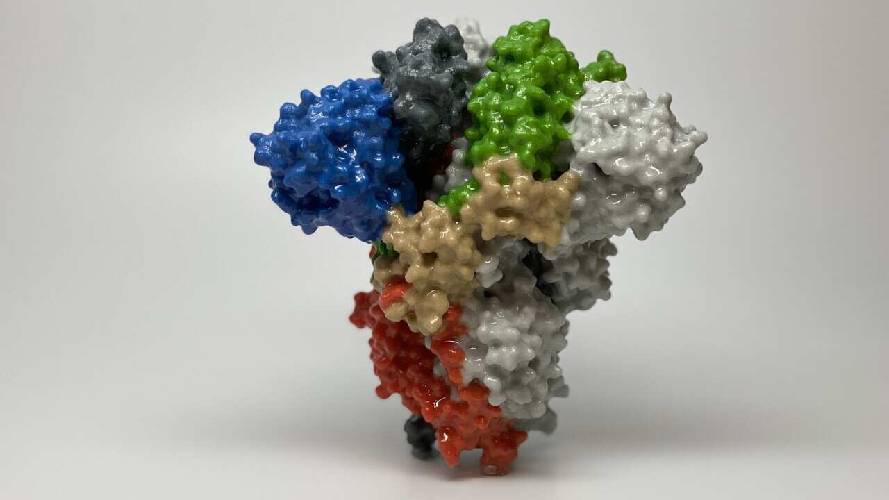 Novel coronavirus sars-cov-2 spike protein
