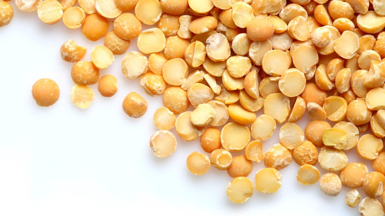Lentil on white background - close-up