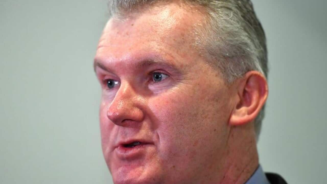 Labor's Tony Burke