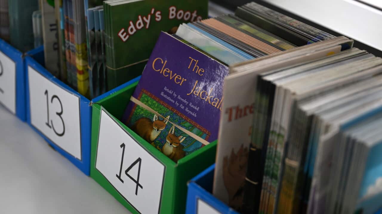 EDUCATION SCHOOL STOCK