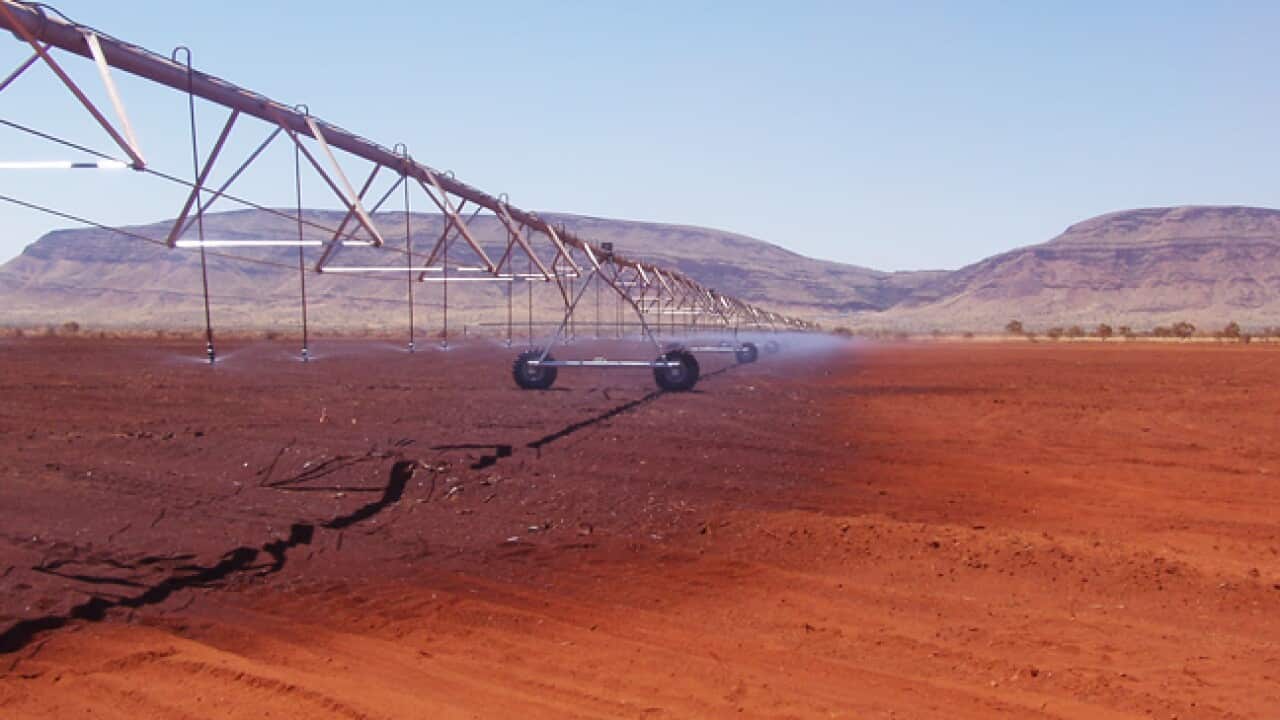 WAwater_c_130304_AAP_1012704174