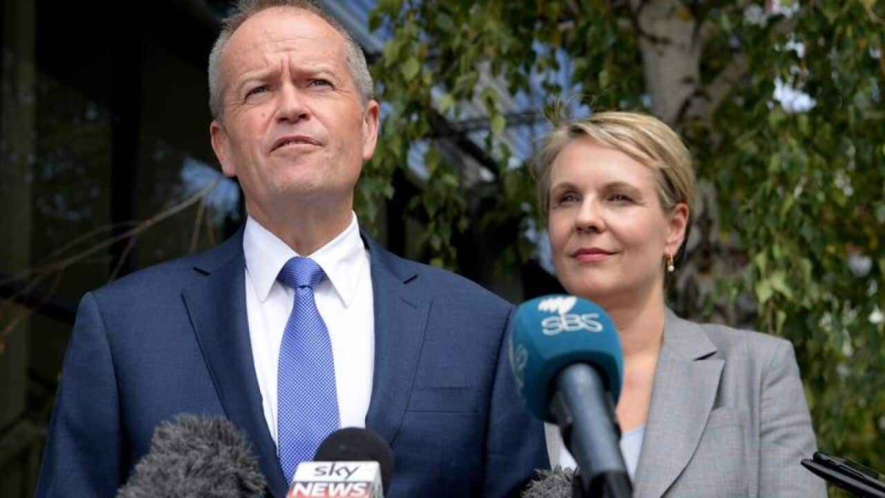 Opposition Leader Bill Shorten and Deputy Leader Tanya Plibersek