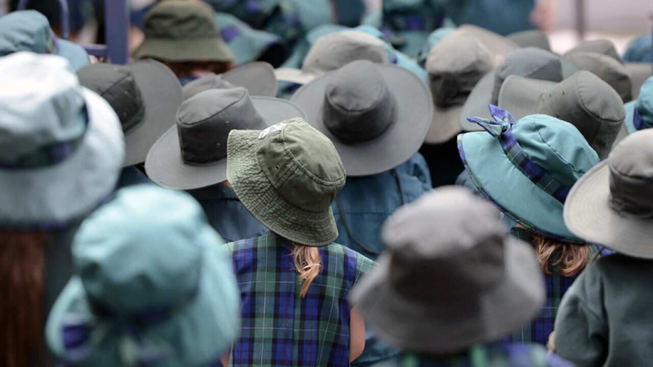 Primary school students in Brisbane