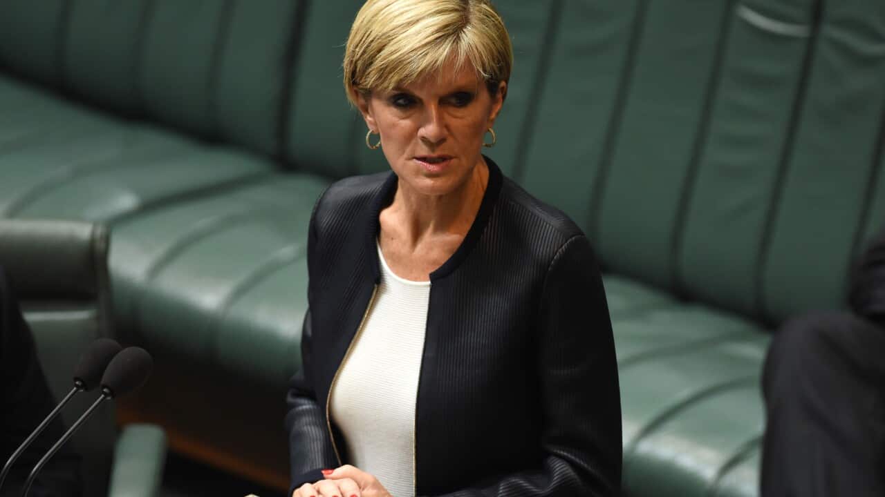 Foreign Affairs Minister Julie Bishop