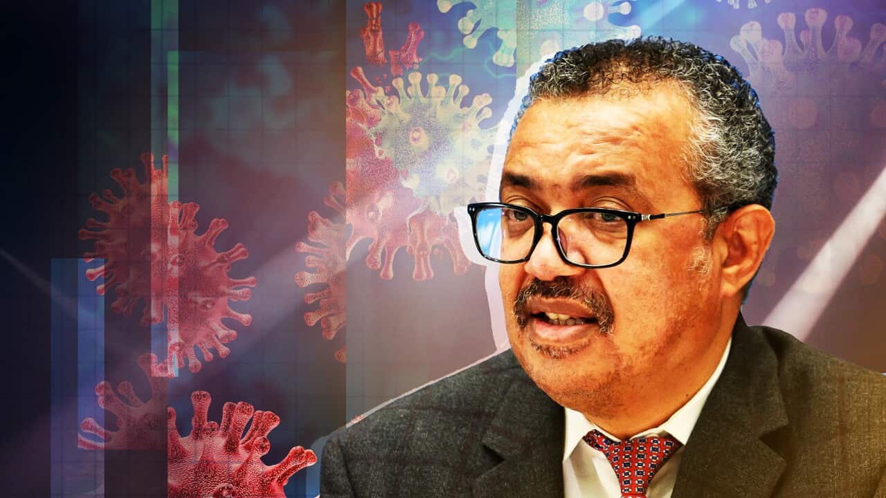 An African man in a suit and glasses on a background of coronavirus spike proteins