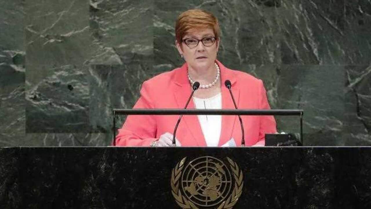 Foreigh Minister Marise Payne addressing the UN General Assembly