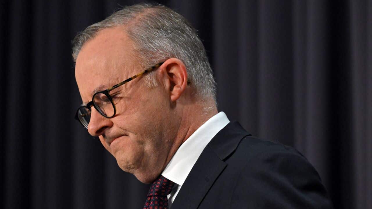 PM Anthony Albanese .jpg