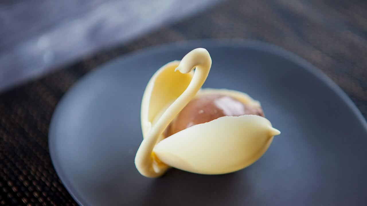 Chocolate swan