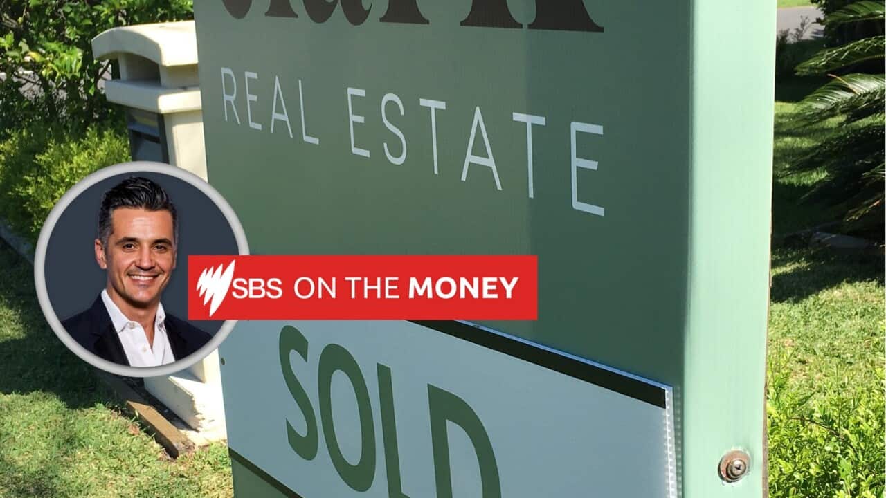 OTM - Real estate, housing (SBS).jpg