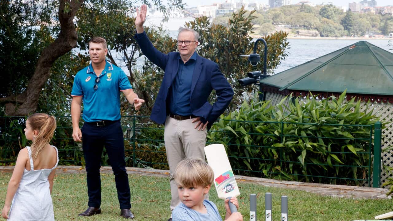 ANTHONY ALBANESE KIRRIBILLI CRICKET RECEPTION