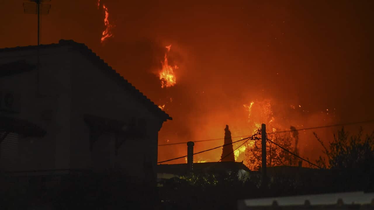 Greece Wildfires