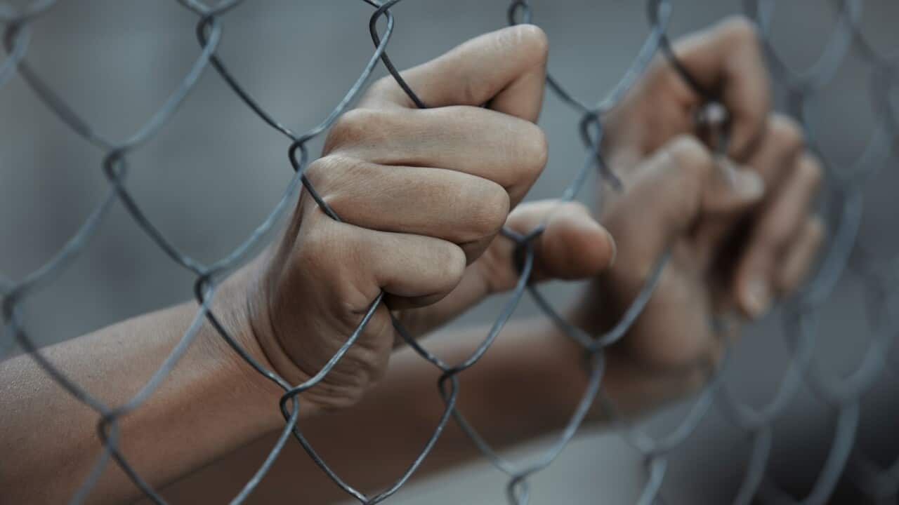 There were more people detained in immigration detention facilities on average in 2020-21 compared to the previous year.