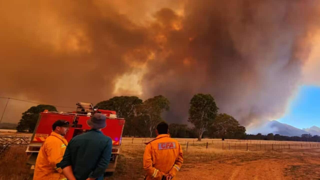 Fires Vic - CFA.jpg