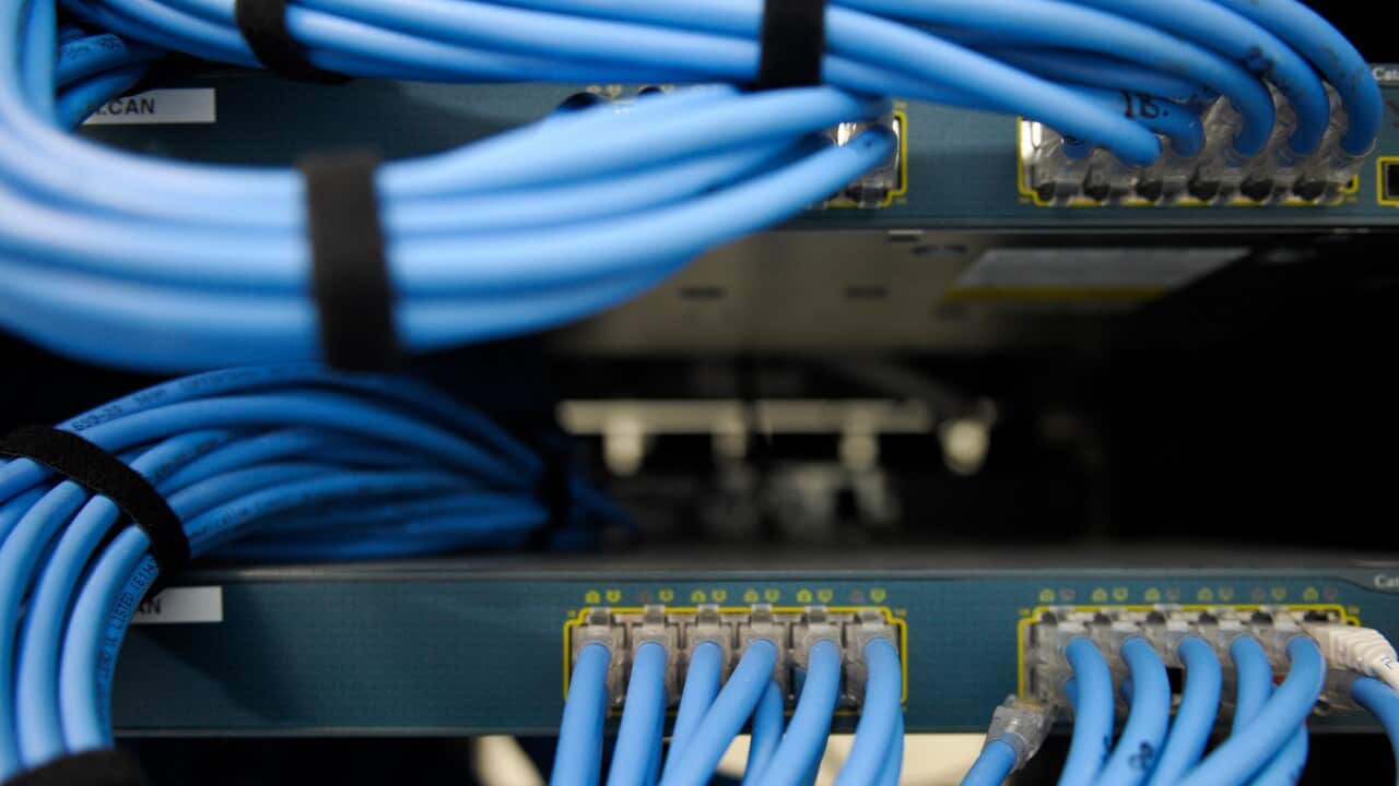 Ethernet cables are seen in a server room in Canberra.