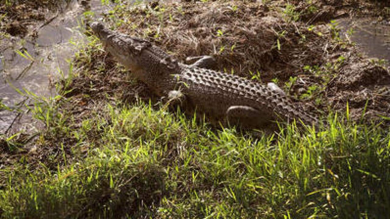 Image for read more article 'RELATED CONTENT'