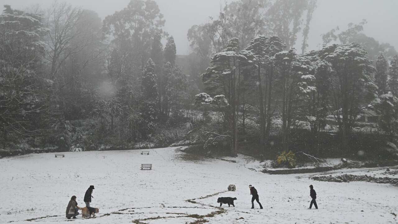 SNOW NSW