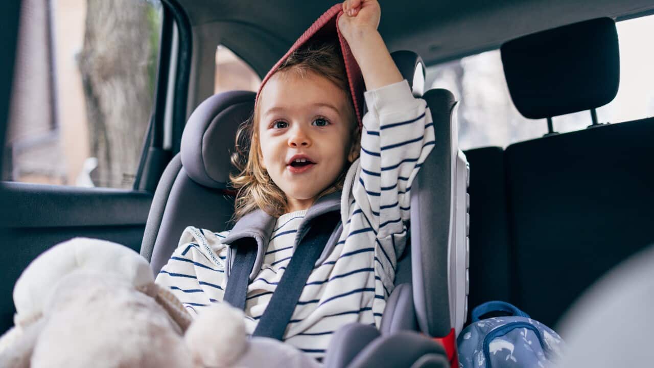 Image for read more article 'READ MORE'